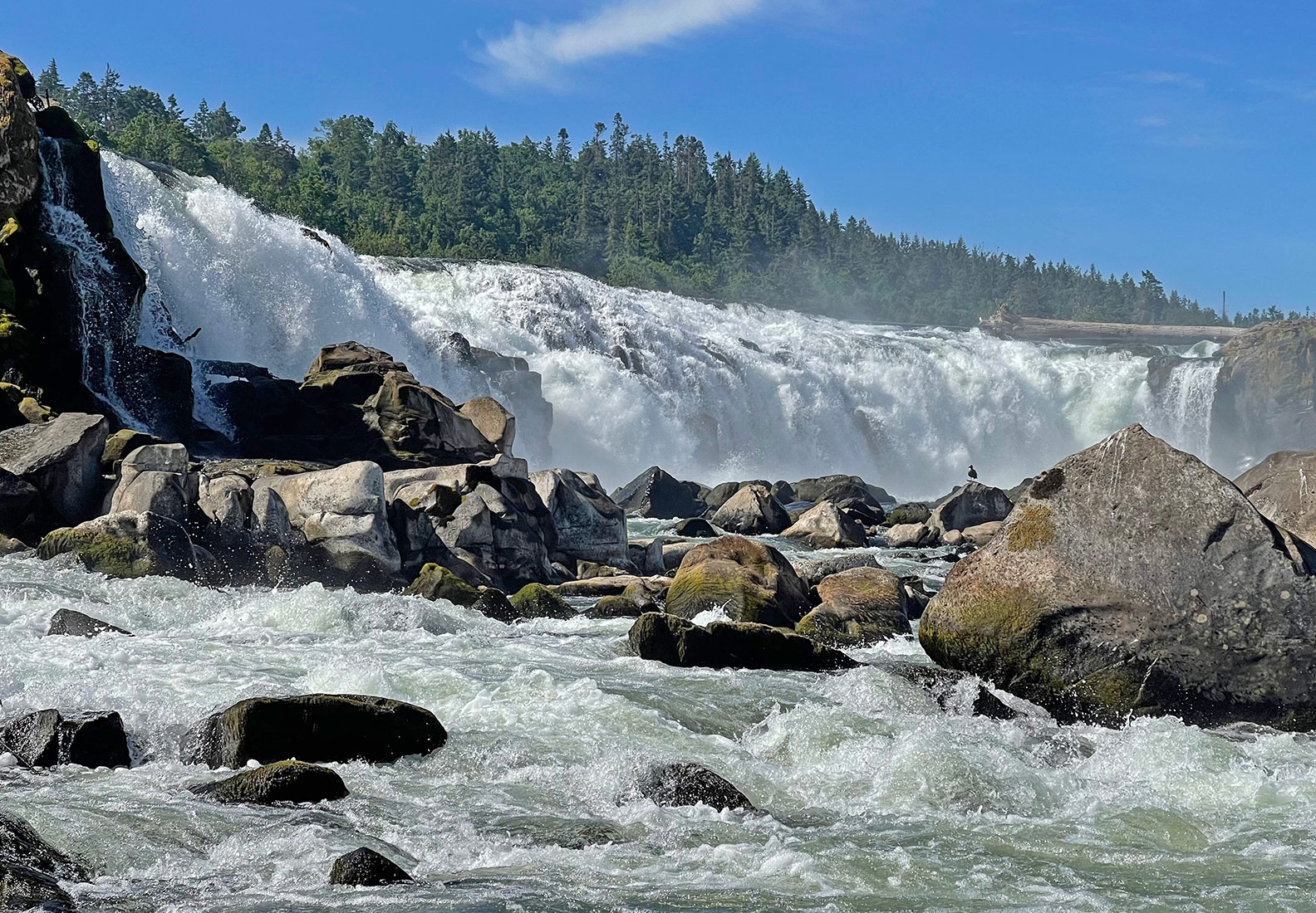 Close up of Willamette falls with rapids and rocks in the foreground.