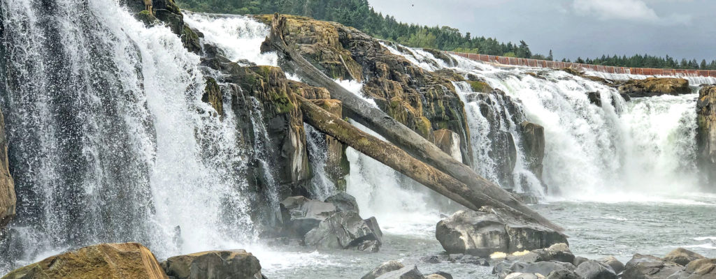 Closeup of Willamette Falls with logs jammed in the rocks.