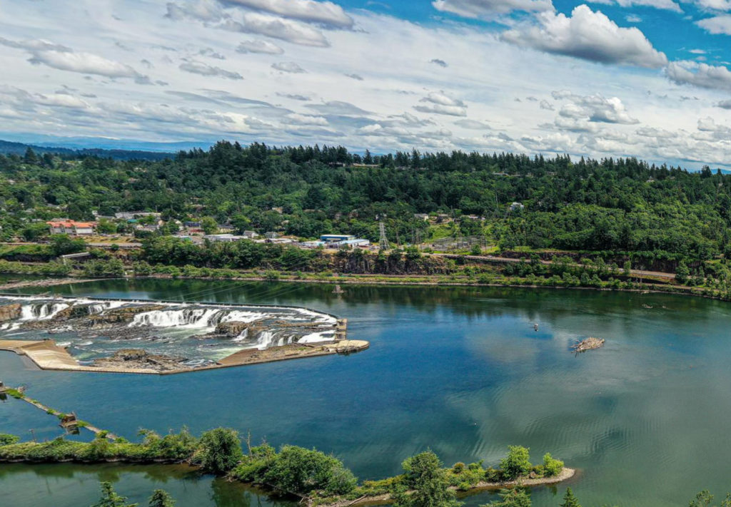 A view across the Willamette River and surrounding river banks.